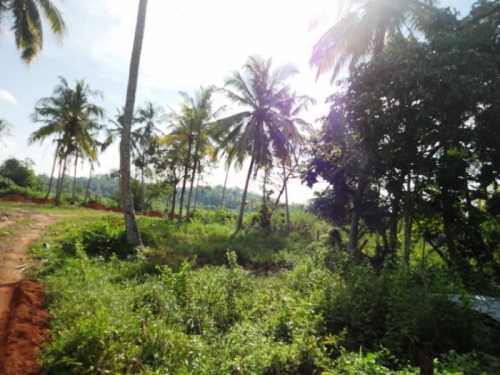 Picturesque property in Induruwa