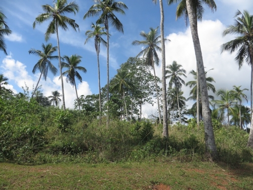 Bare land with the Ocean view