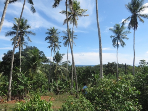 Bare land with the Ocean view