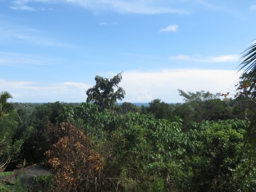 Bare land with the Ocean view