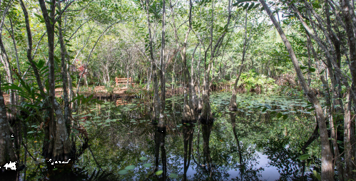 Little Heaven in Benthota