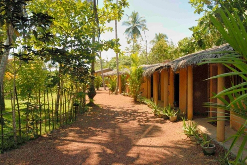 Little Heaven in Benthota