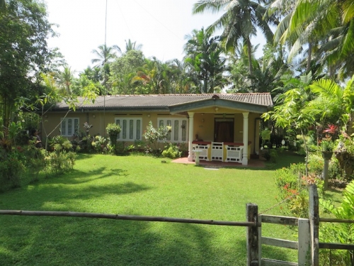 Two Properties in Akurala
