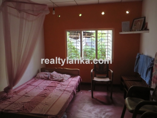 Paddy Front Property