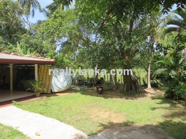 Paddy Front Property