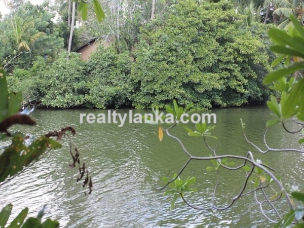 Secluded Villa in midst of a cinnamon Plantation