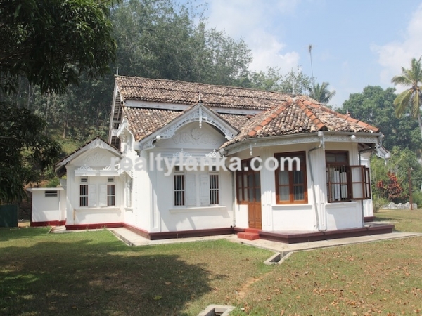 Old Colonial House with a Rubber Plantation