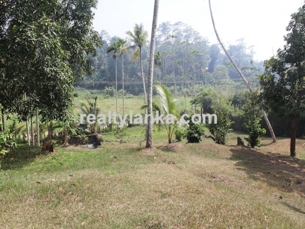 Old Colonial House with a Rubber Plantation