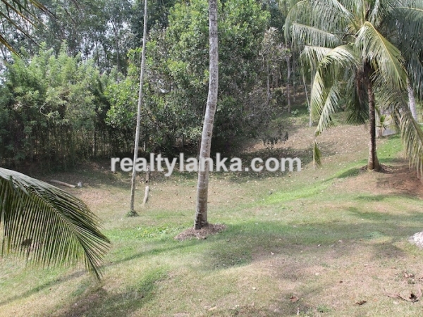 Old Colonial House with a Rubber Plantation