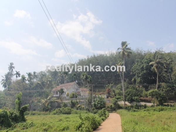 Old Colonial House with a Rubber Plantation