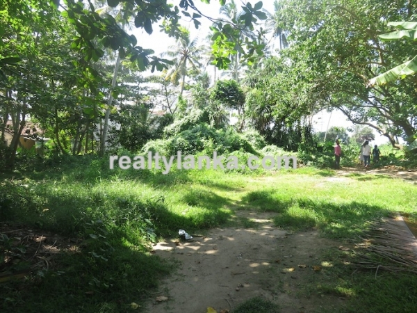 Beachfront property with panoromic view