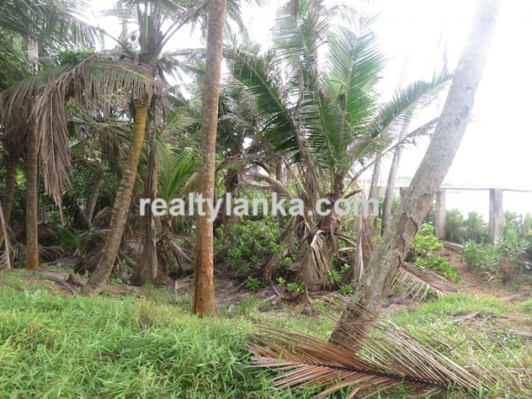 40m Beach Front Property