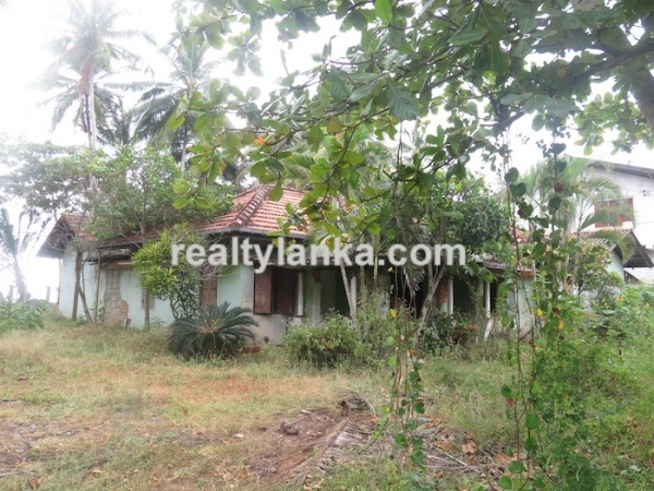 40m Beach Front Property