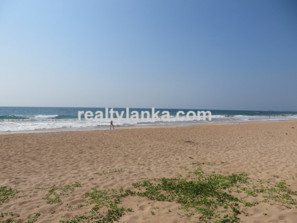 Beachfront 83 Perches Land