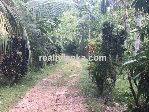 Colonial House in Ahangama