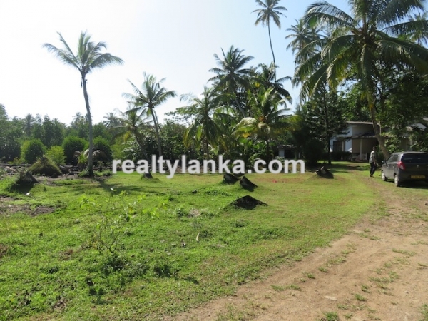 200 Perch Land Wth Two Houses