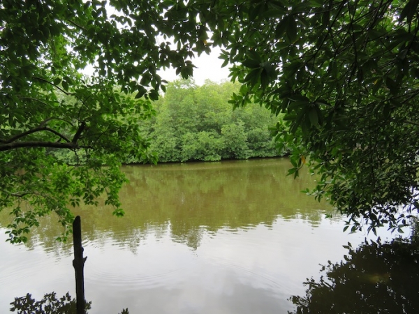 Peaceful Relaxing River Front Property