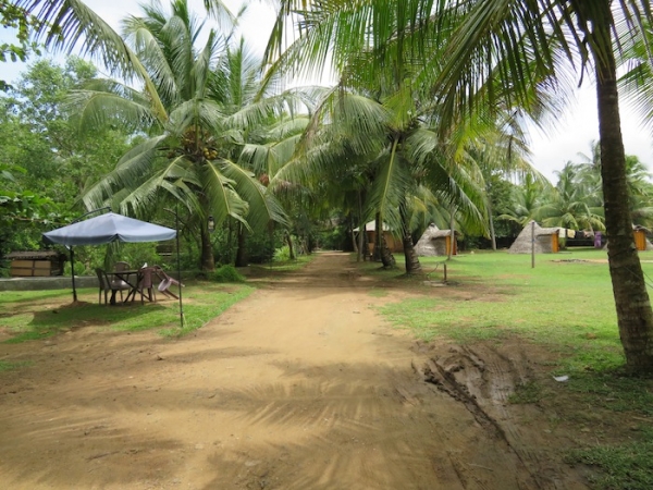 Peaceful Relaxing River Front Property