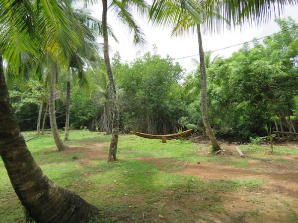 Peaceful Relaxing River Front Property