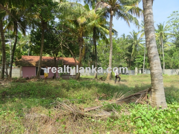 Beachfront Property In Dickwella