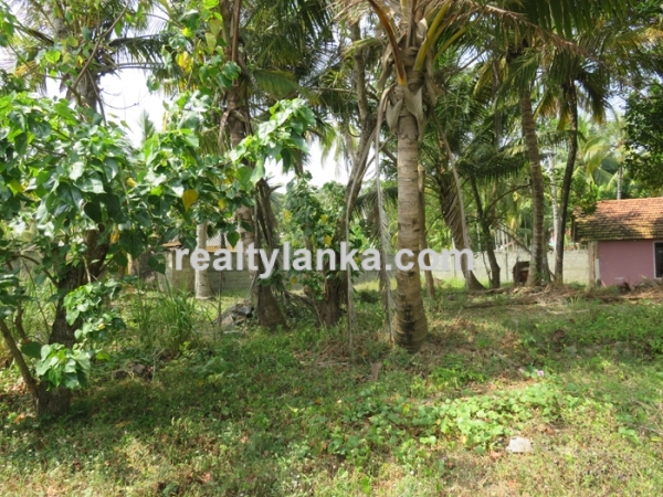 Beachfront Property In Dickwella