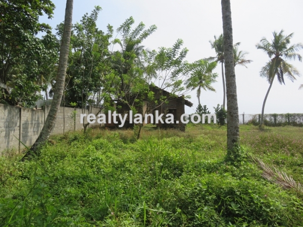 Beachfront Property In Dickwella