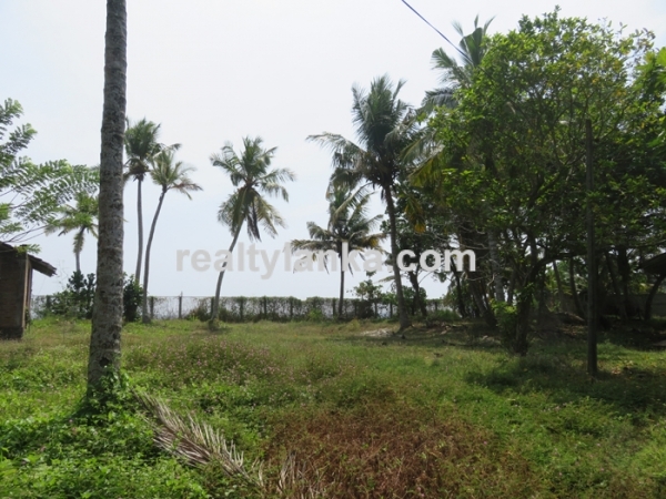 Beachfront Property In Dickwella