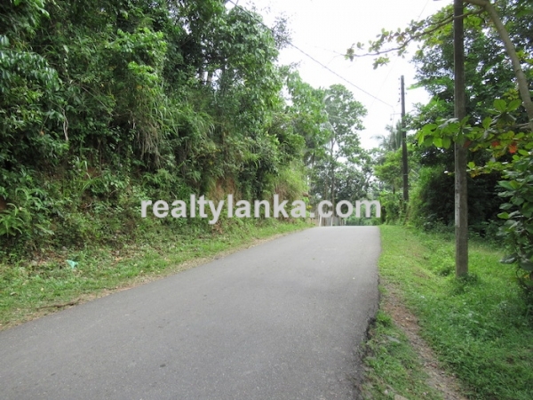 Property With A Beautiful Paddy View