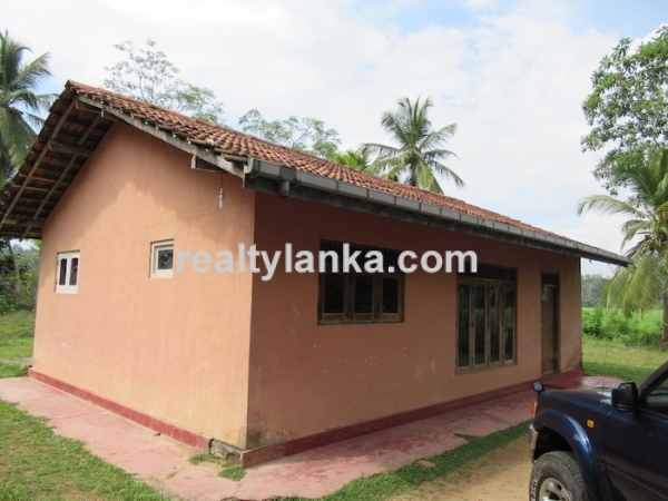 Property With A Beautiful Paddy View