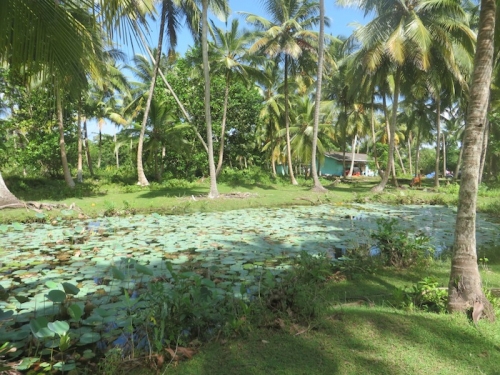 Lush Bareland In  Galduwa