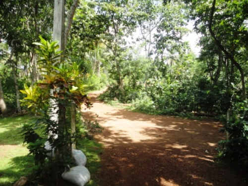 Rare South Coast Headland  Dondra