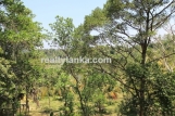 Bareland In Ginthota GI 138